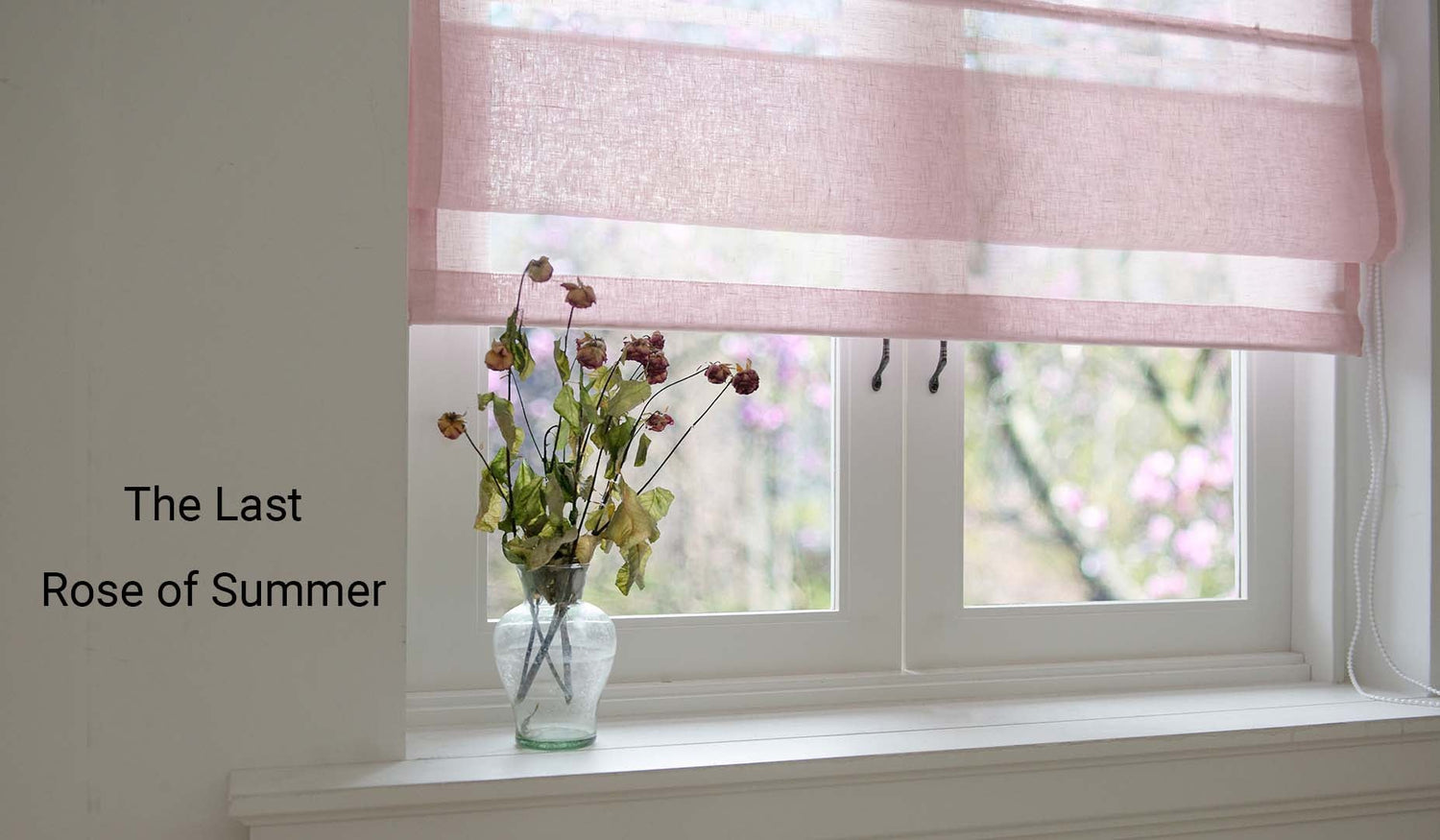 New Roman Shades