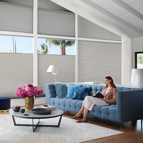 Duette Honeycomb Shade / Hunter Douglas