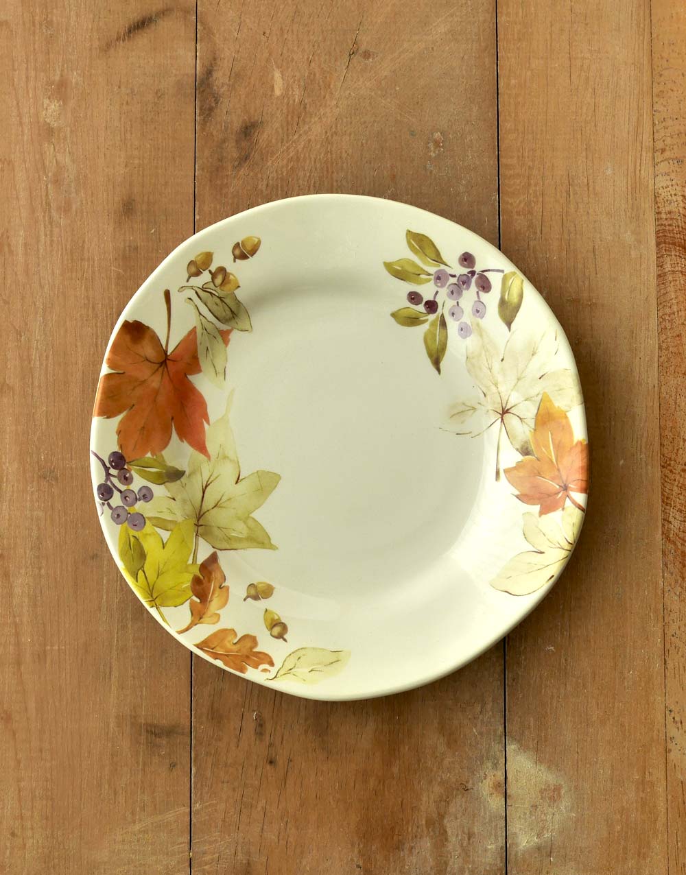 페사로 플레이트